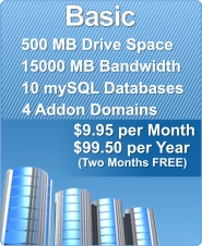 Basic Hosting Plan